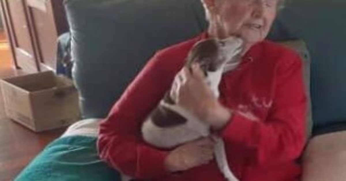 Der Hund einer 85-jährigen Frau stirbt, aber niemand lässt sie einen neuen Hund adoptieren