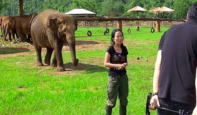 Elephant stürmt ins Interview, um ihren Hausmeister vor den Interviewern zu „retten“.
