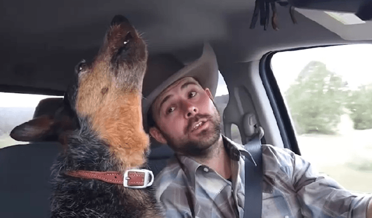 Hund singt süßes Duett mit Cowboy, nachdem ihr Lieblingslied erklingt