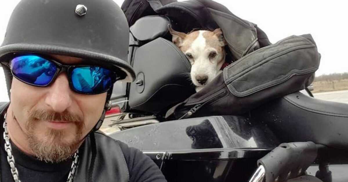 Biker sieht, wie ein Mann auf der Autobahn einen Hund schlägt, also rettet er ihn und macht ihn zu seinem neuen Co-Piloten