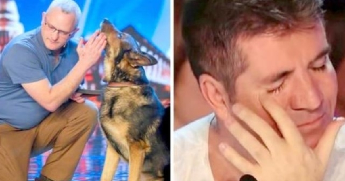 Polizeihund im Dienst erstochen, Simon Cowell kämpft bei BGT mit den Tränen