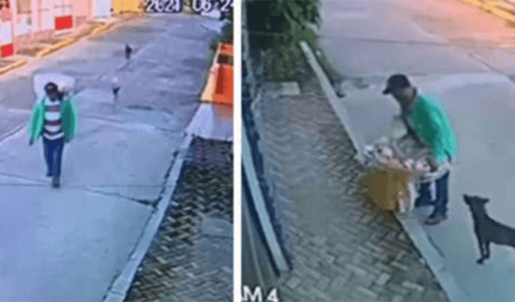 Straßenverkäufer wird vor laufender Kamera dabei erwischt, wie er den letzten Rest seines Essens an hungrige Straßenhunde abgibt