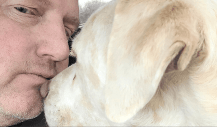 Blinder und tauber Hund im Tierheim 200 Tage bis Kampfveteran kommt