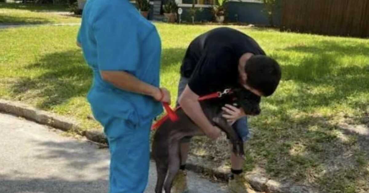 Ein Obdachloser musste seinen Hund in einem Tierheim abgeben, gab ihn aber zurück