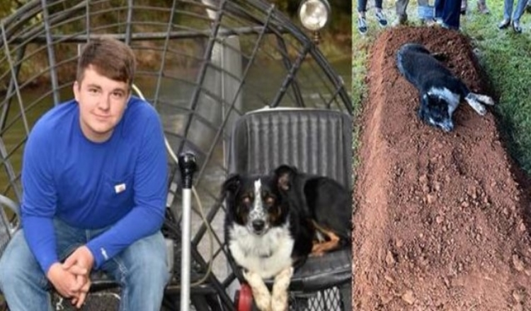 Trauernder Hund liegt am Grab seines getöteten 22-jährigen Besitzers
