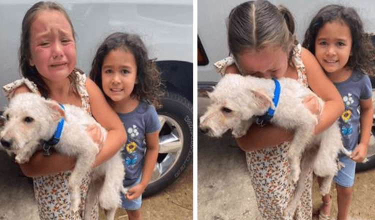 Kleines Mädchen kann nicht aufhören, vor Freude zu weinen, als ihr verlorener Hund endlich gefunden wird