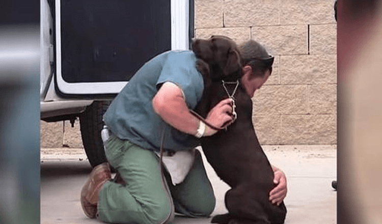 Ein Hund wurde eingeschläfert, aber ein Insasse umarmte sie fest