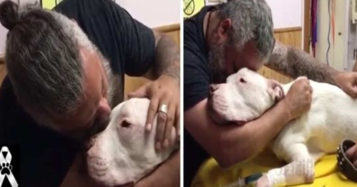 Mann umarmt unter Tränen seinen 14-jährigen Hund und stirbt Sekunden später: „Lass mich nicht im Stich“