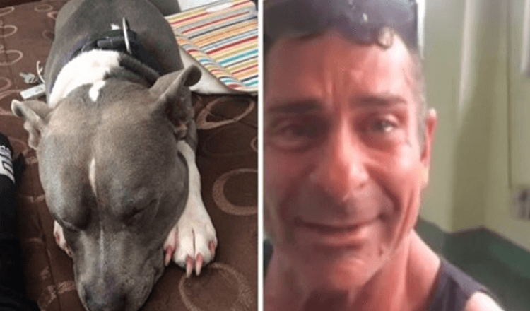 Mann trifft seinen gestohlenen Hund wieder, nur zwei Tage bevor er eingeschläfert werden sollte