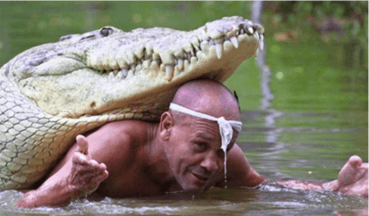 Der Mann rettete ein sterbendes Krokodil und sie blieben über 20 Jahre lang beste Freunde