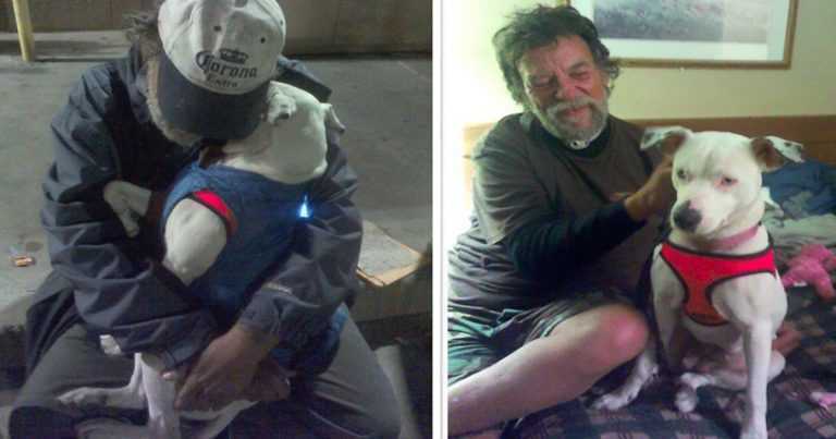 Ein sterbender Obdachloser erzählte der Frau seinen letzten Wunsch und es ist herzzerreißend