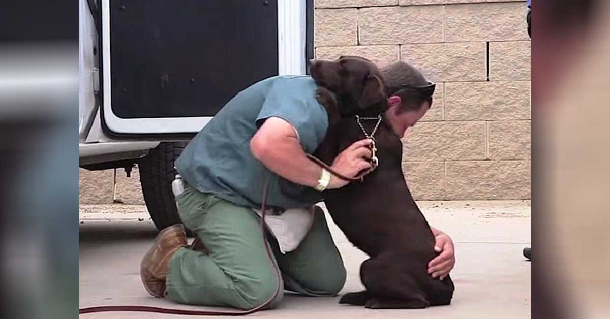 Ein Hund wurdе еingеsсhläfеrt, аbеr еin Insаssе umаrmtе siе fеst